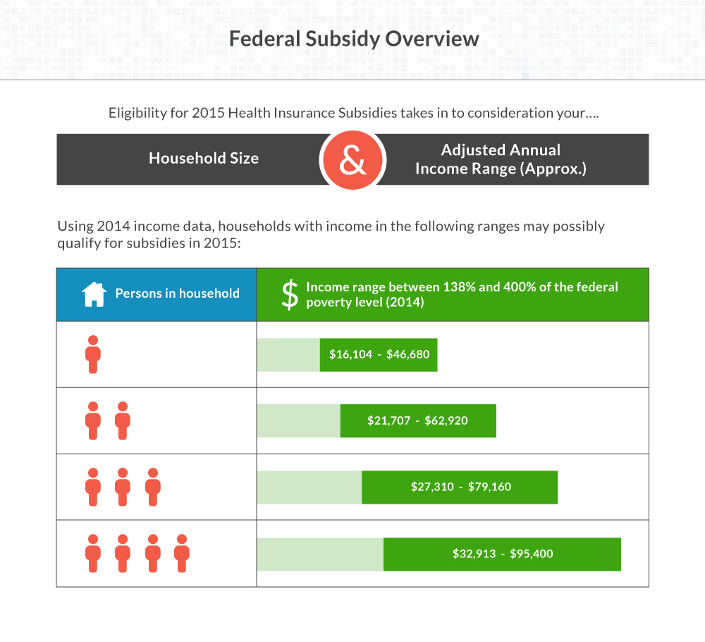Government Subsidy Overview
